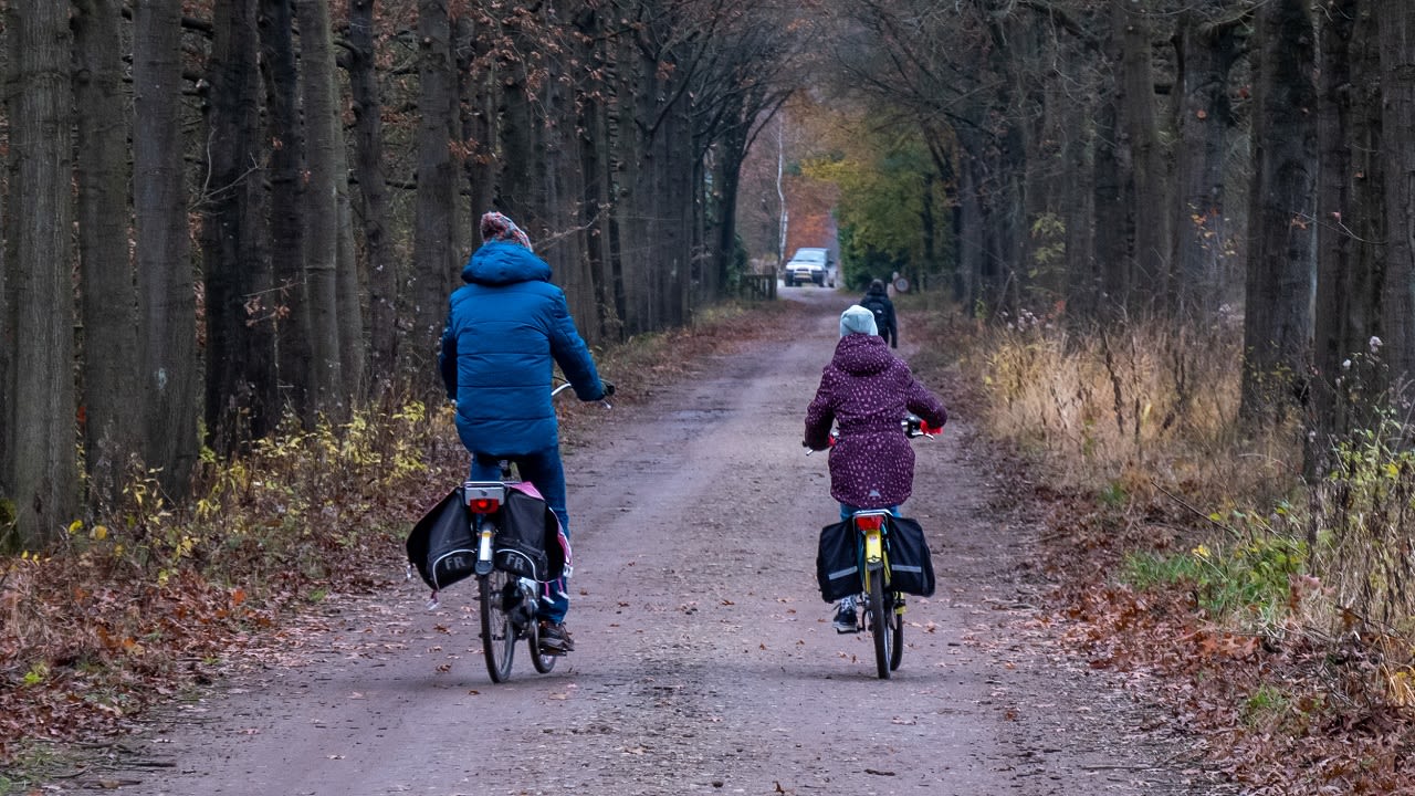 vrij koud weer met veel bewolking, weekverwachting België