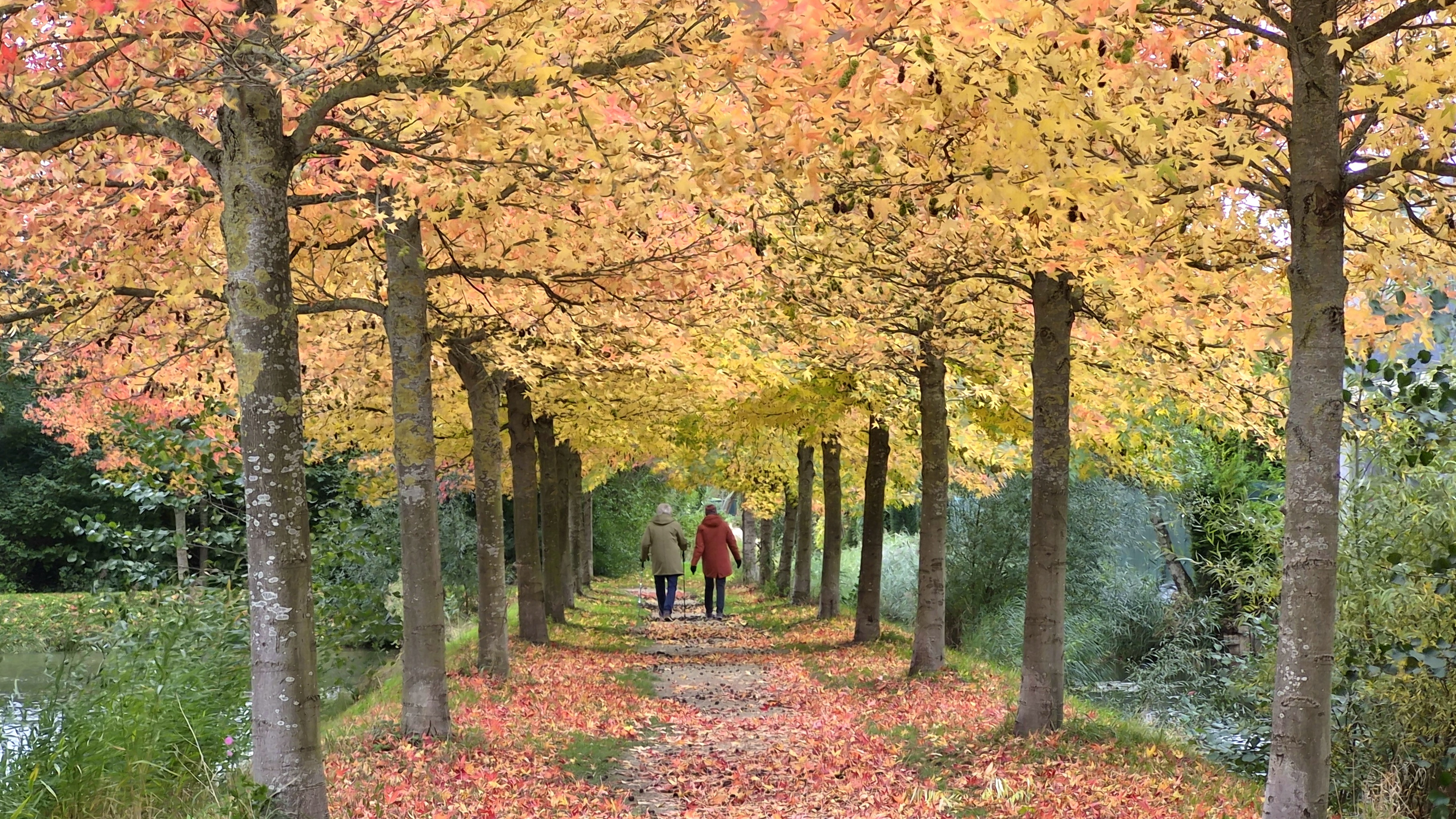 Weekendweer: krijgen we de zon te zien?