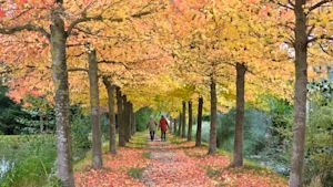 Weekendweer: krijgen we de zon te zien?