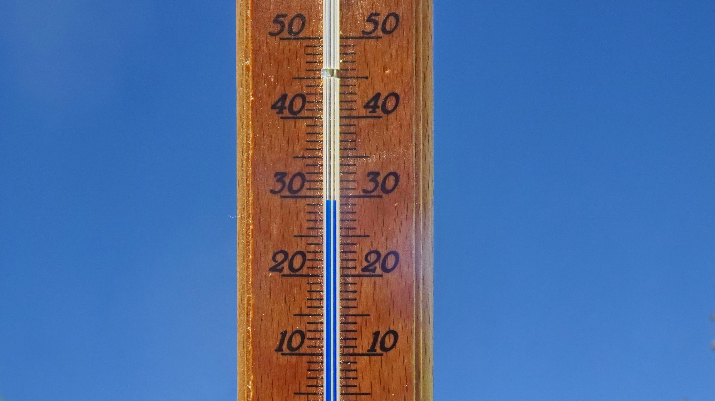 Het regent warmterecords deze week. Foto: Peter van der Schoot