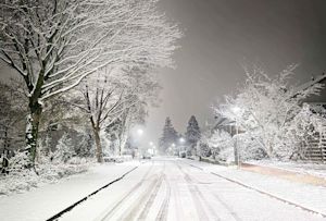 Teruglezen Liveblog sneeuwval: op veel plaatsen sneeuw