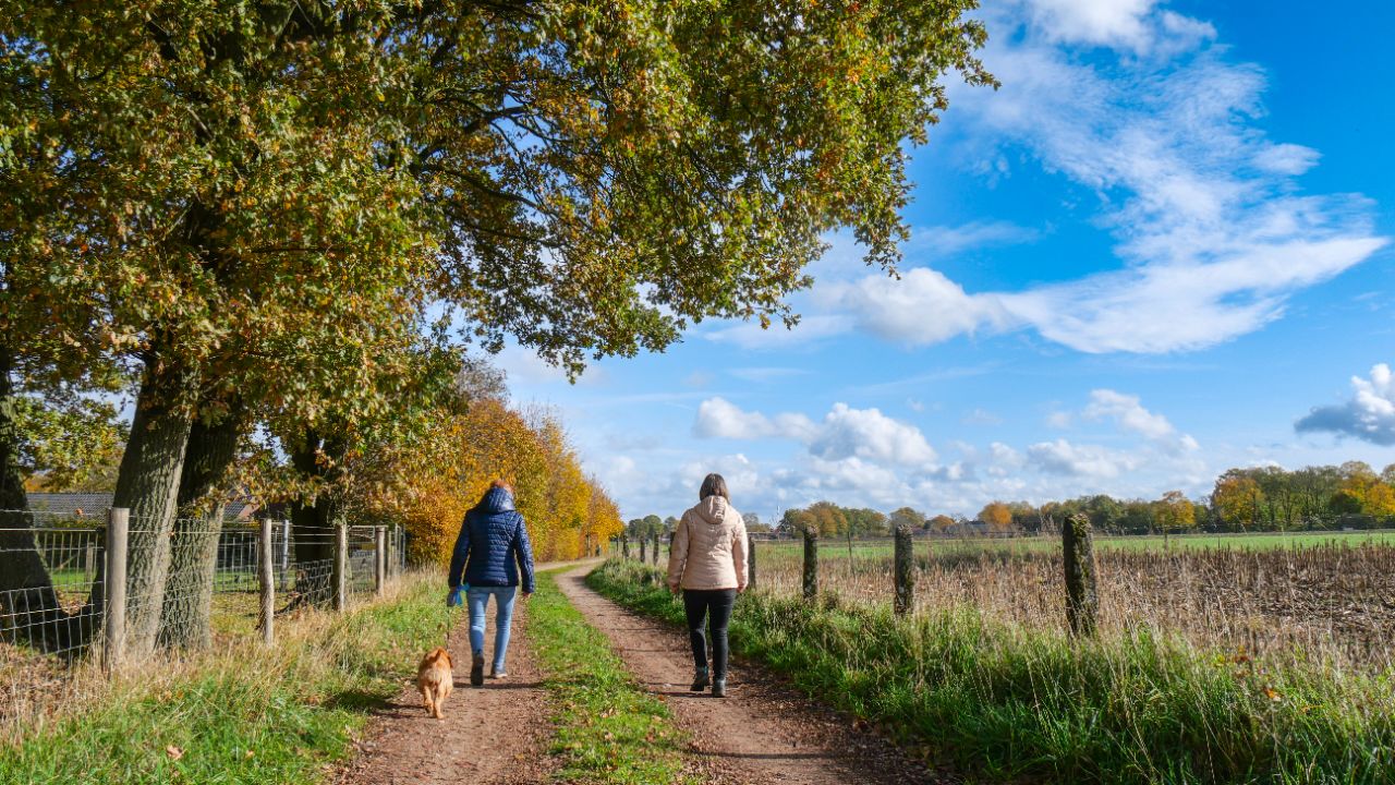 Het wordt ideaal weer voor een herfstwandeling. Foto: Jos Hebben