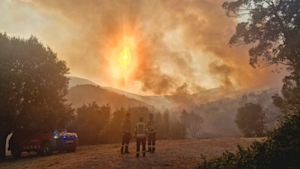 Zo snel stijgt het risico op natuurbranden door klimaatverandering