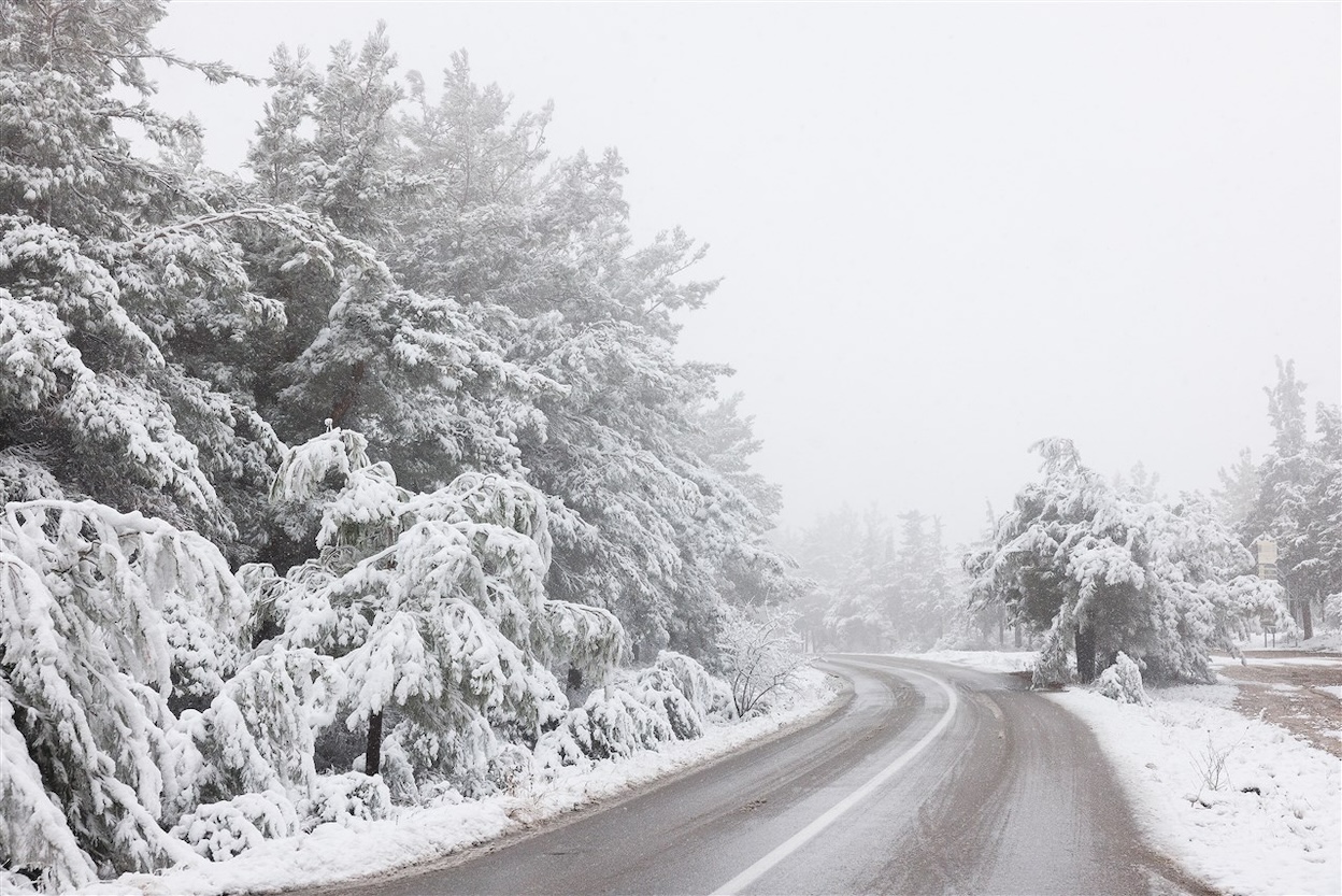 Sneeuw bedekt het voorstedelijke bos van Seih Sou in Thessaloniki, Griekenland, 13 januari 2025. Foto: ANP / Achilleas Chiras