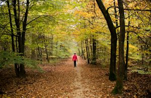 Weekverwachting: maakt rustig herfstweer plaats voor een ex-orkaan?