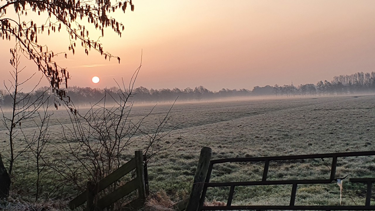 Koud weer met vorst en rijp. Foto: Karin Walinga