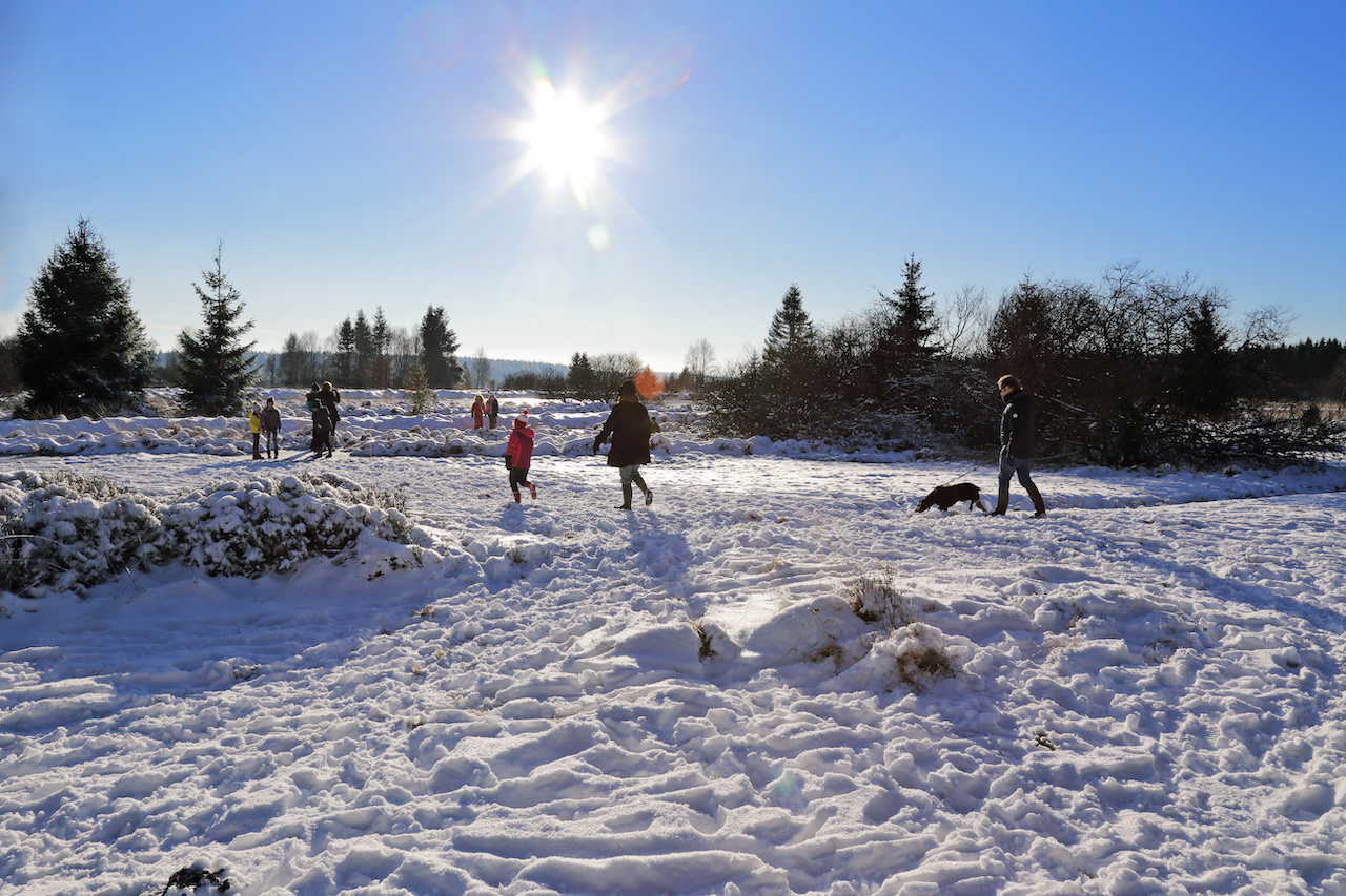 Sneeuw in de Hoge Venen. Foto: Adobe Stock / mariesacha.