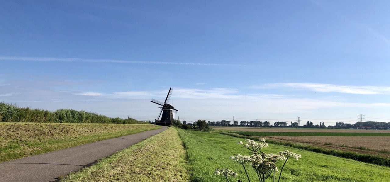 Prachtig juli-weer. Foto: Jolanda Bakker.