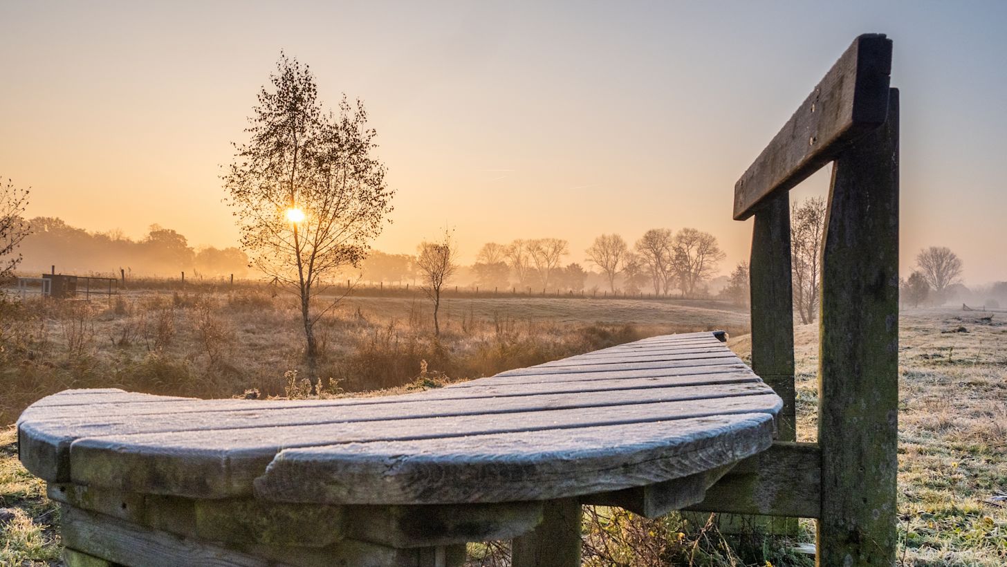 Vorst in de ochtend. Foto: Jos Hebben