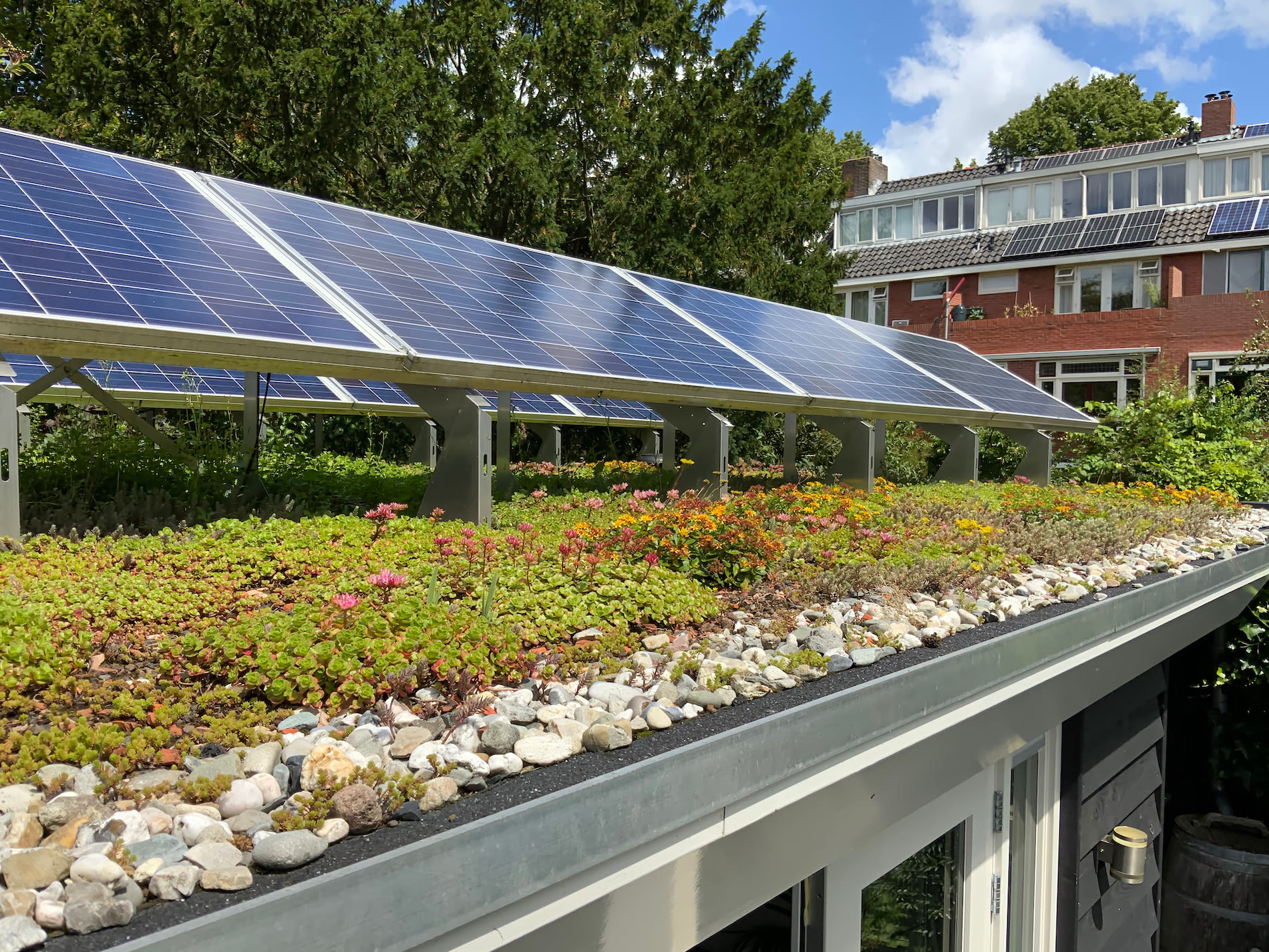 Zonnepanelen op een groen dak. Foto Adobe Stock / René Notenbomer