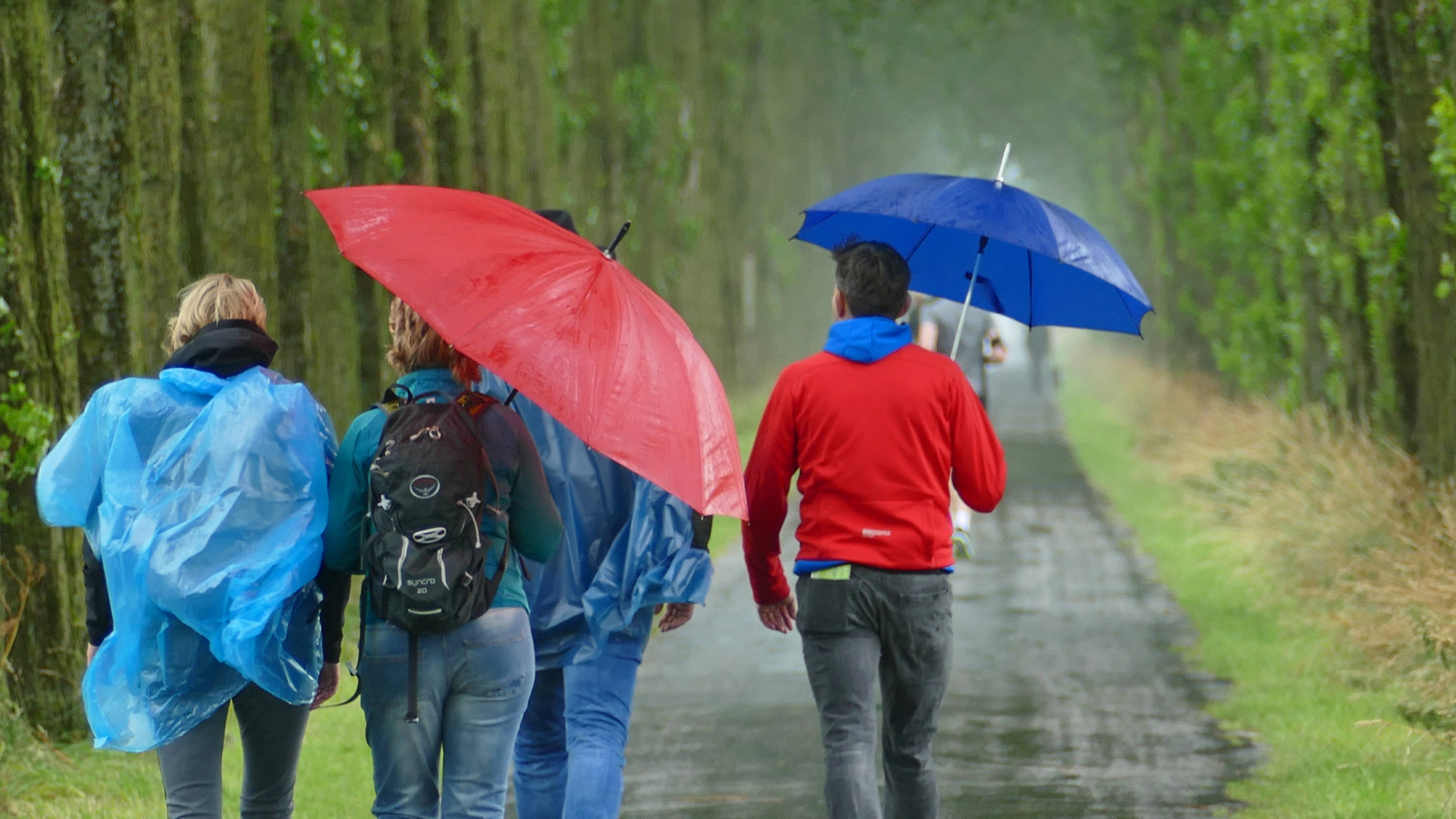 Eindelijk regen? Foto: Gerrit Draaisma