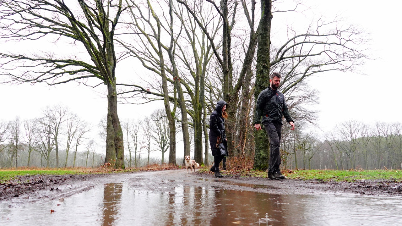 Februari was zeer zacht, nat en somber