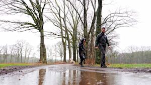 Februari was zeer zacht, nat en somber