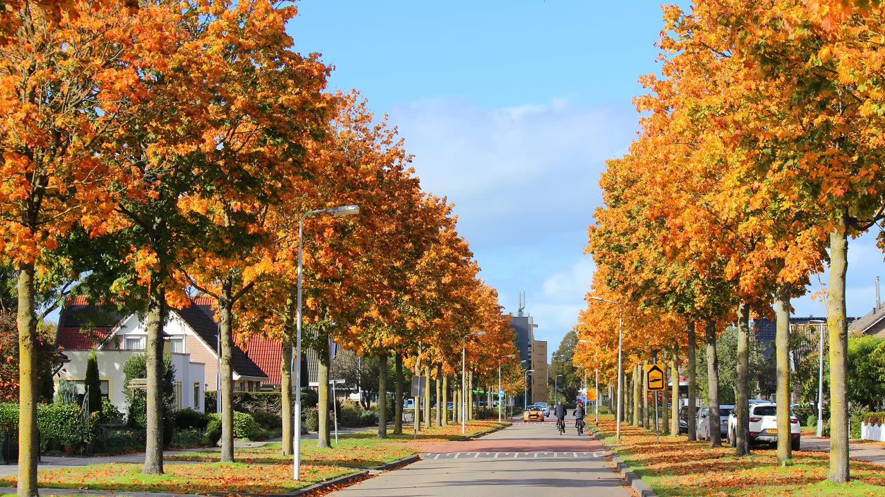 Heerlijk herfstweer. Foto: Martin Vye