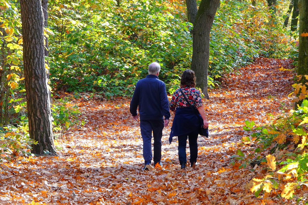 Heerlijk wandelweer in deze oktober met aangename temperaturen en veel zon. Foto: Ben Saanen