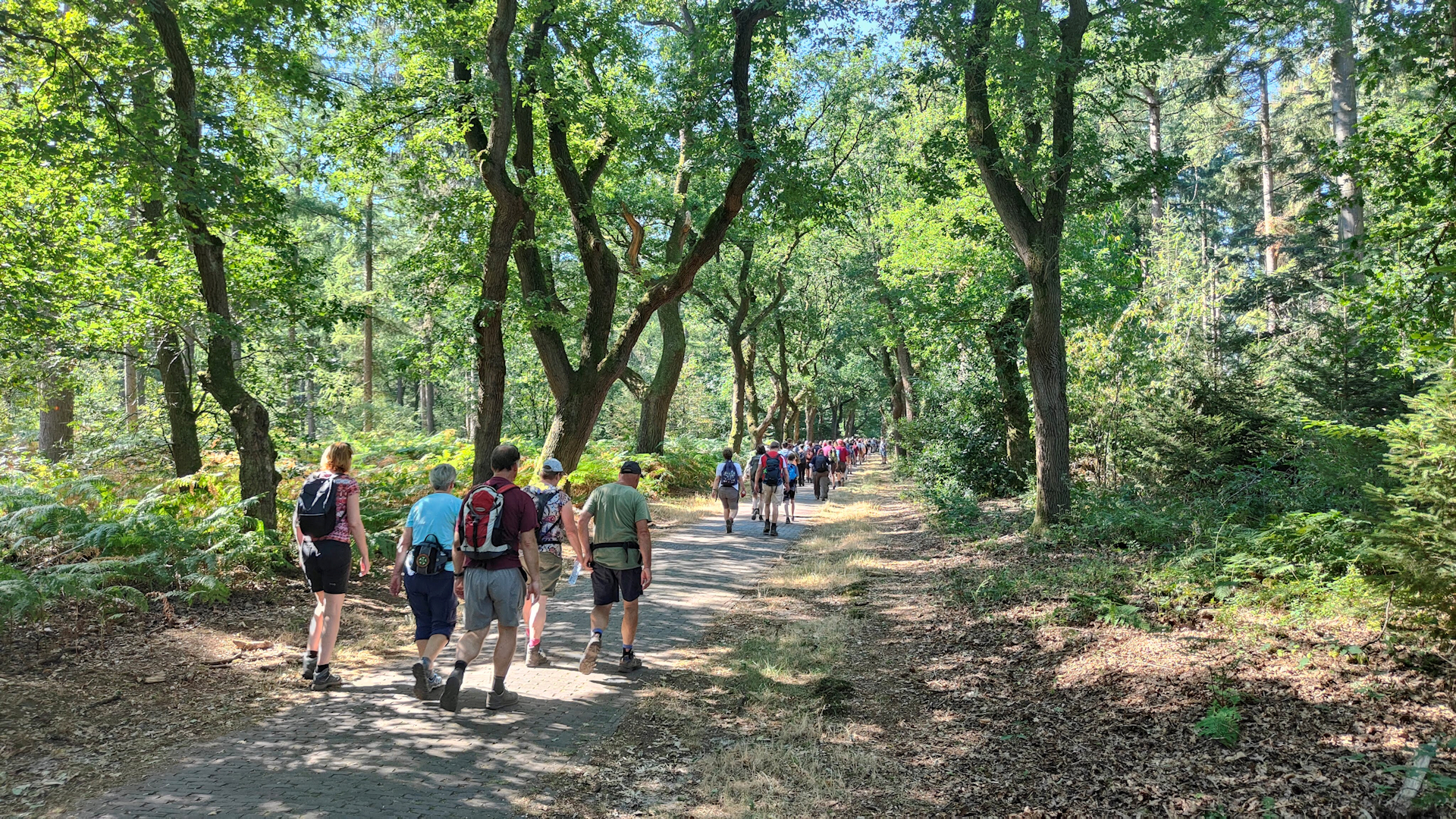 Zo verloopt de Airborne Wandeltocht