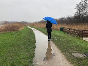 Wat is het verschil tussen buien en regen?