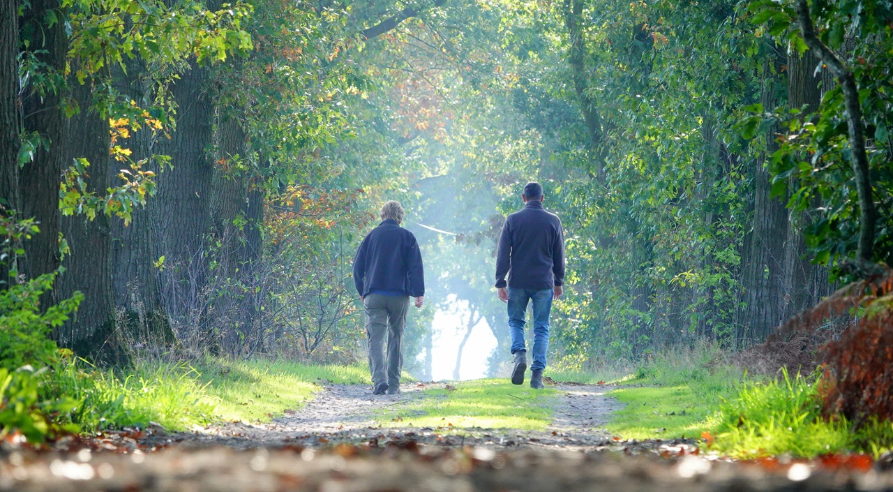 Dit wordt het weer tijdens de herfstvakantie regio Noord