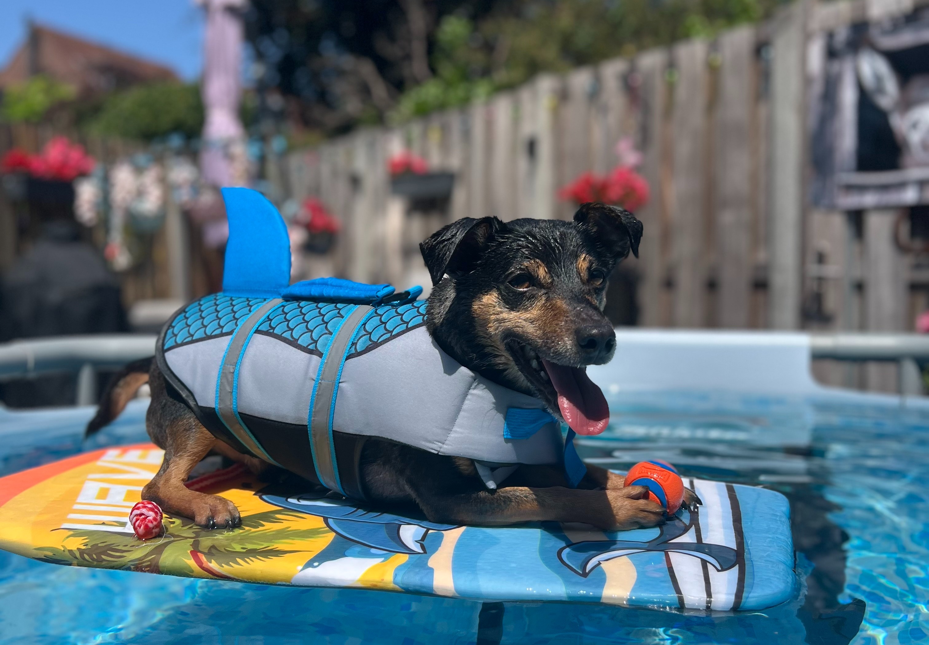 Zo zomers wordt het tijdens het lange pinksterweekend