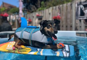 Zo zomers wordt het tijdens het lange pinksterweekend