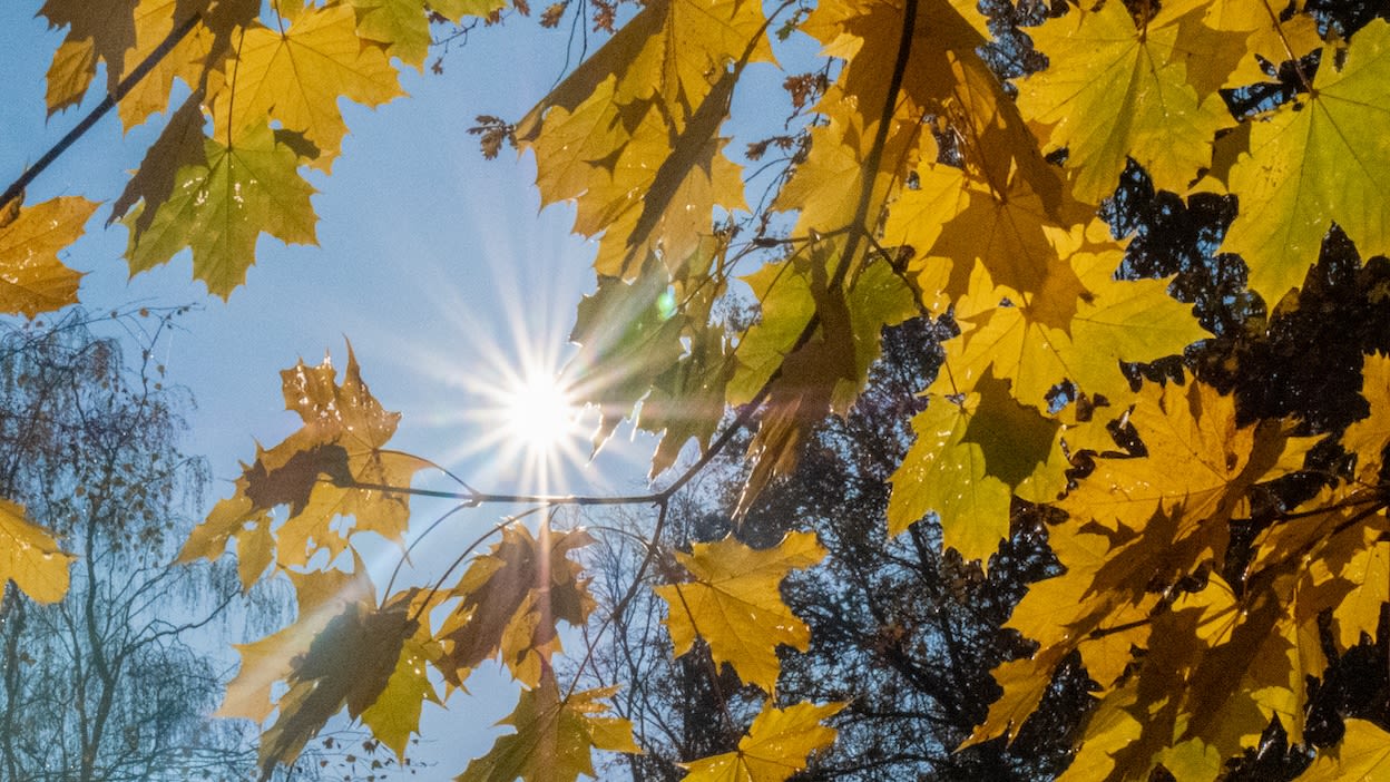 Zonnig herfstweer. Foto: Jos Hebben.