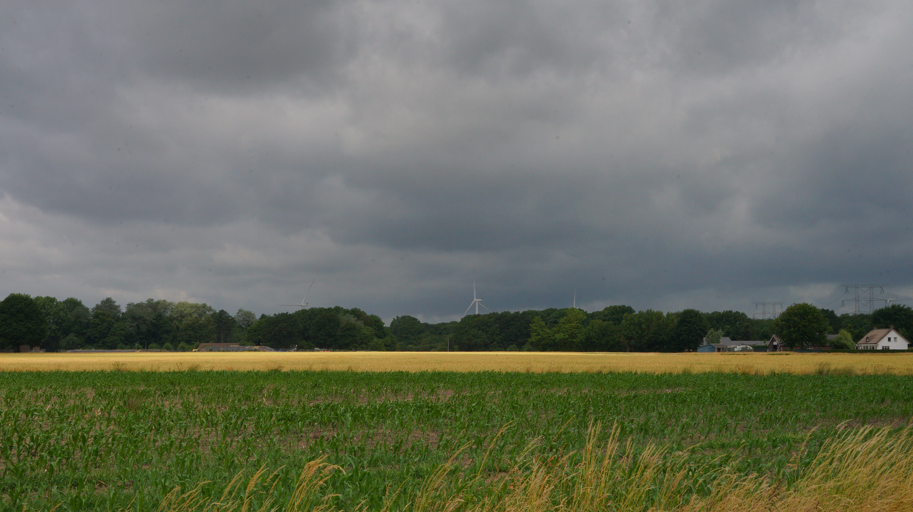 Deze week trekken van tijd tot tijd buien over het land. Foto: Toon Boons.