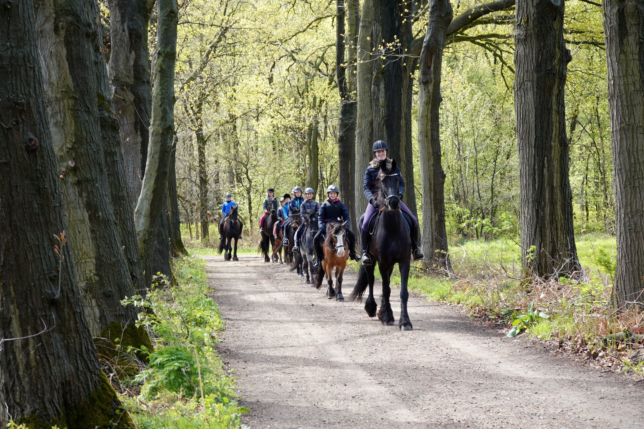 Met paardrijles door de bossen in de meivakantie