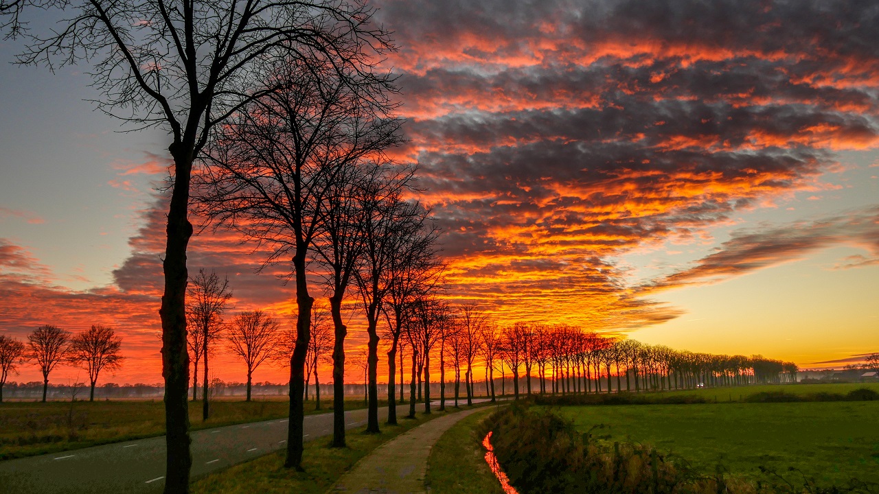 Weerspreuken zon: feit of fabel?