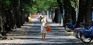 Uitzonderlijk hoge novembertemperaturen voor Phoenix