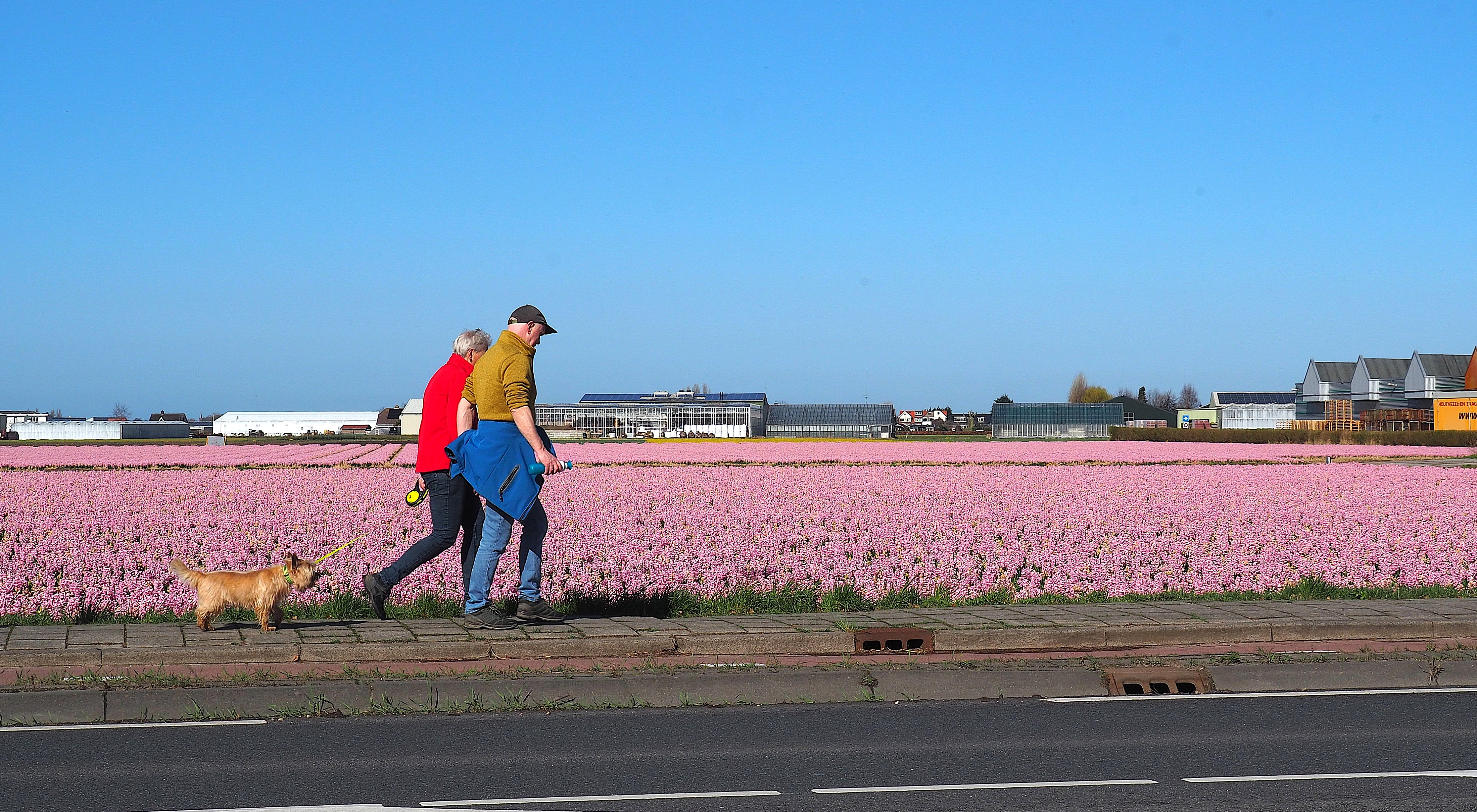 Paasweekendweer: zo zonnig en warm verlopen de paasdagen