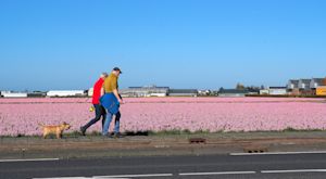 Paasweekendweer: zo zonnig en warm verlopen de paasdagen