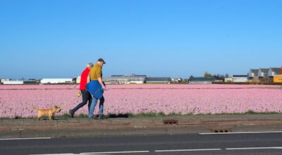 Paasweekendweer: zo zonnig en warm verlopen de paasdagen