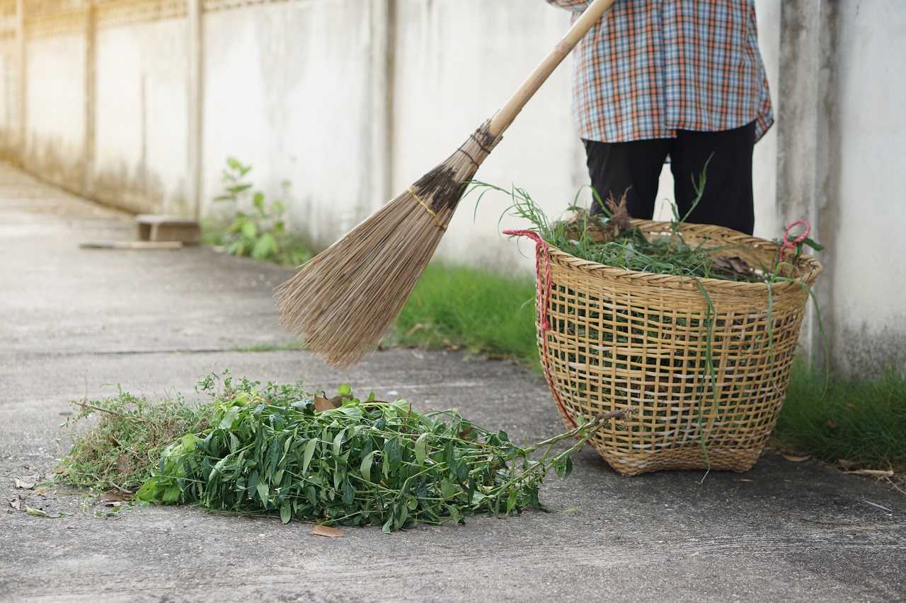 Tuinadvies: zo verwijder je onkruid tussen je tegels