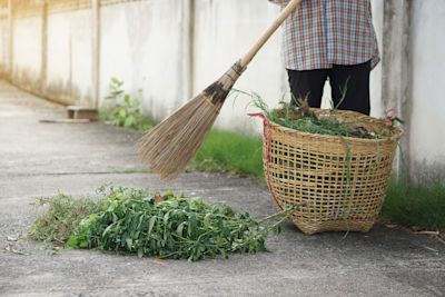 Tuinadvies: zo verwijder je onkruid tussen je tegels