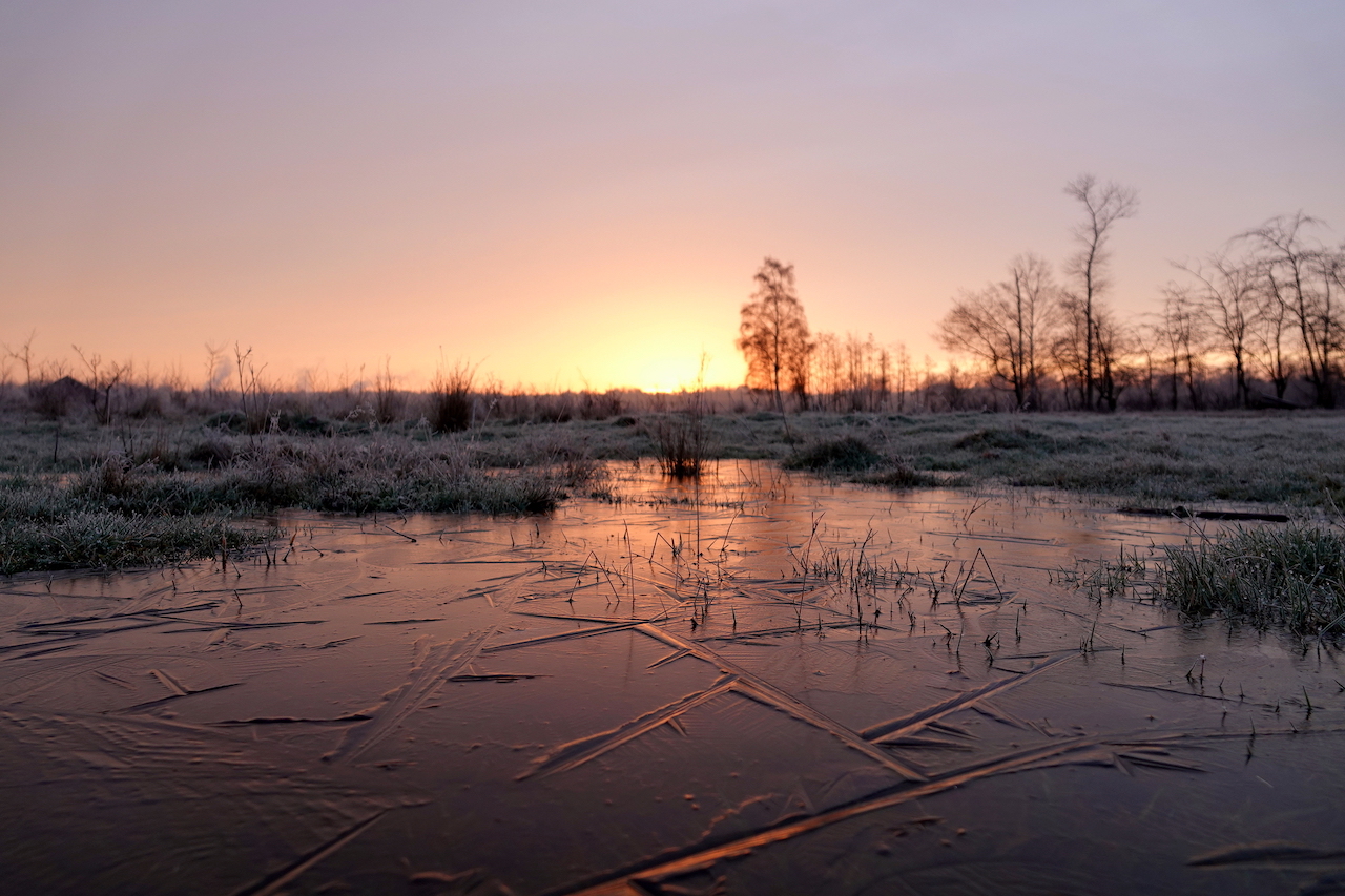Licht winters weer - Temperatuurdaling - Dun laagje ijs