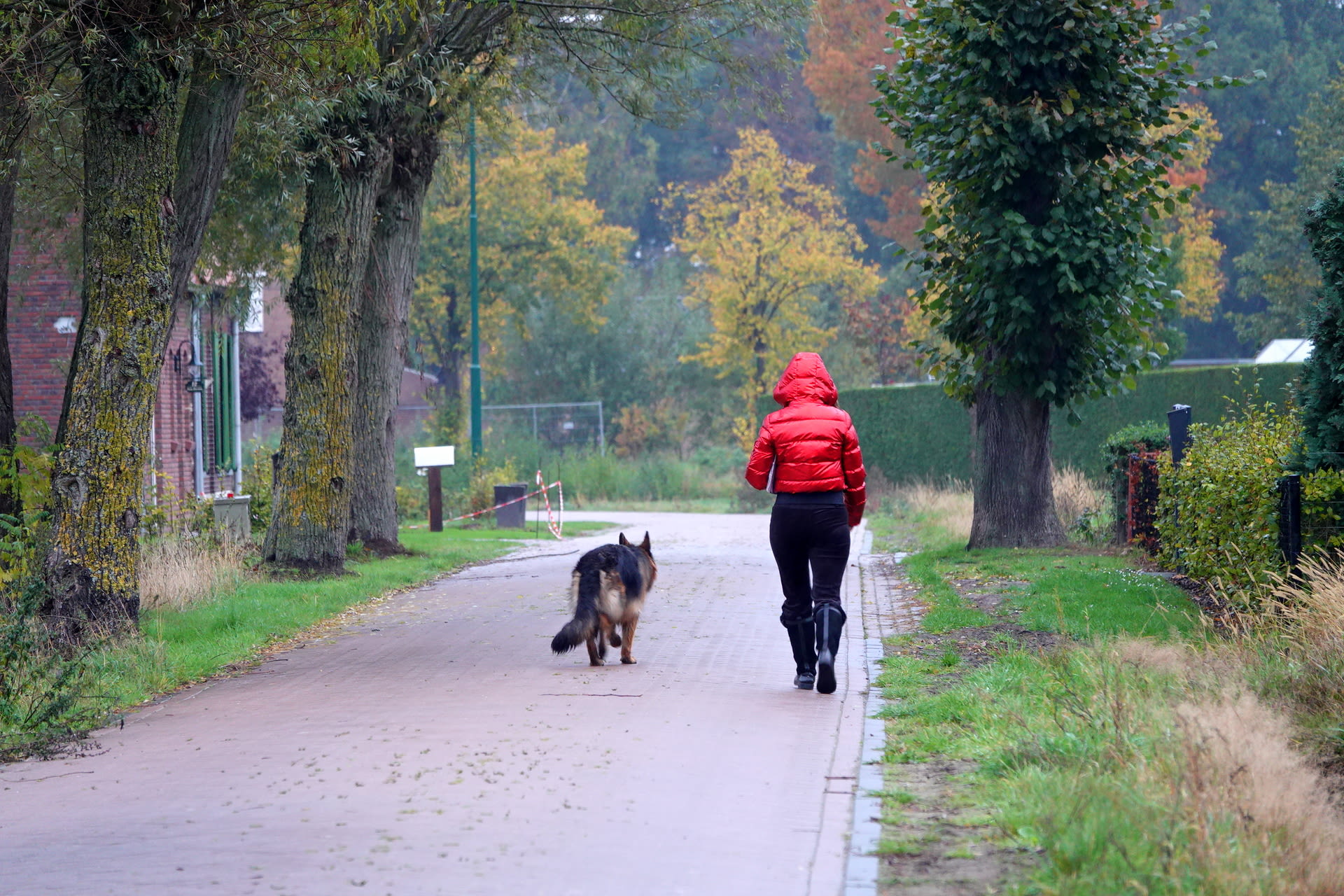 Herfstweer met regen. Foto: Ben Saanen.