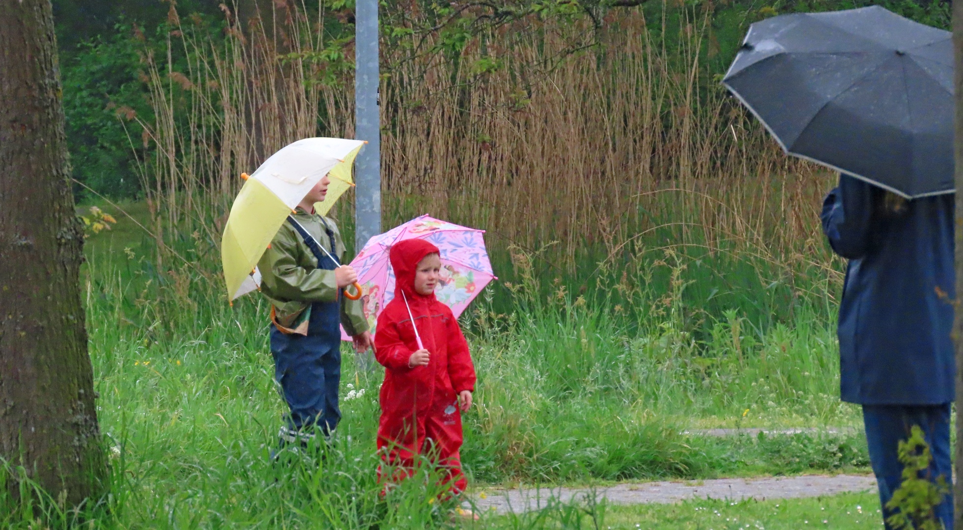 Weekverwachting: na zomerse maandag slaat het weer om
