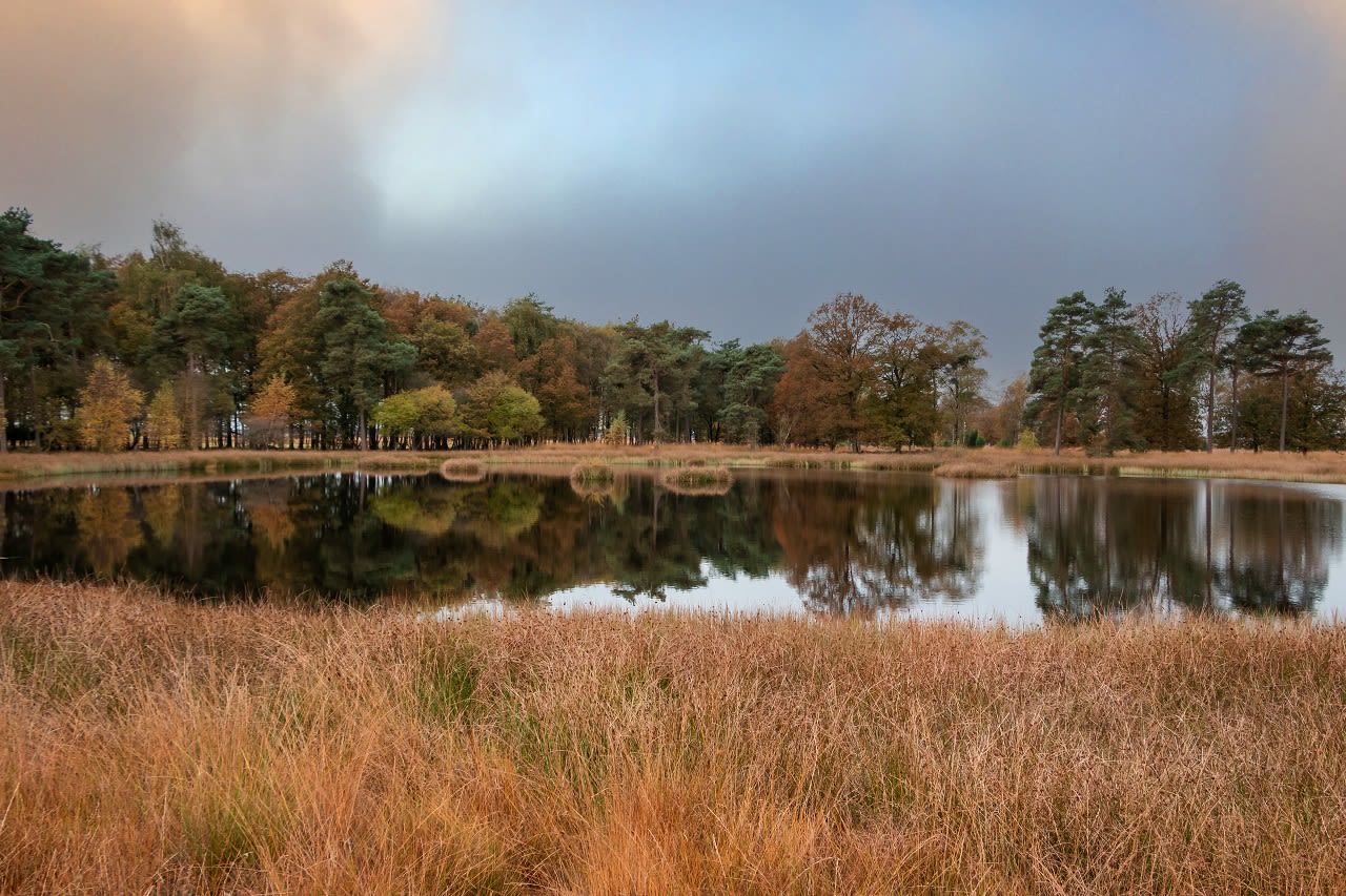 Herfst in het Dwingelderveld. Foto: AS / Hulshofpictures