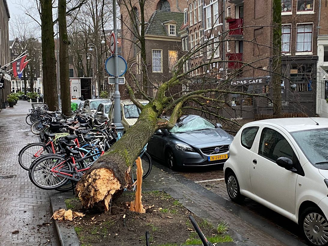 Stromarkt, Amsterdam 31 januari 2022. Foto: E. van der Meer