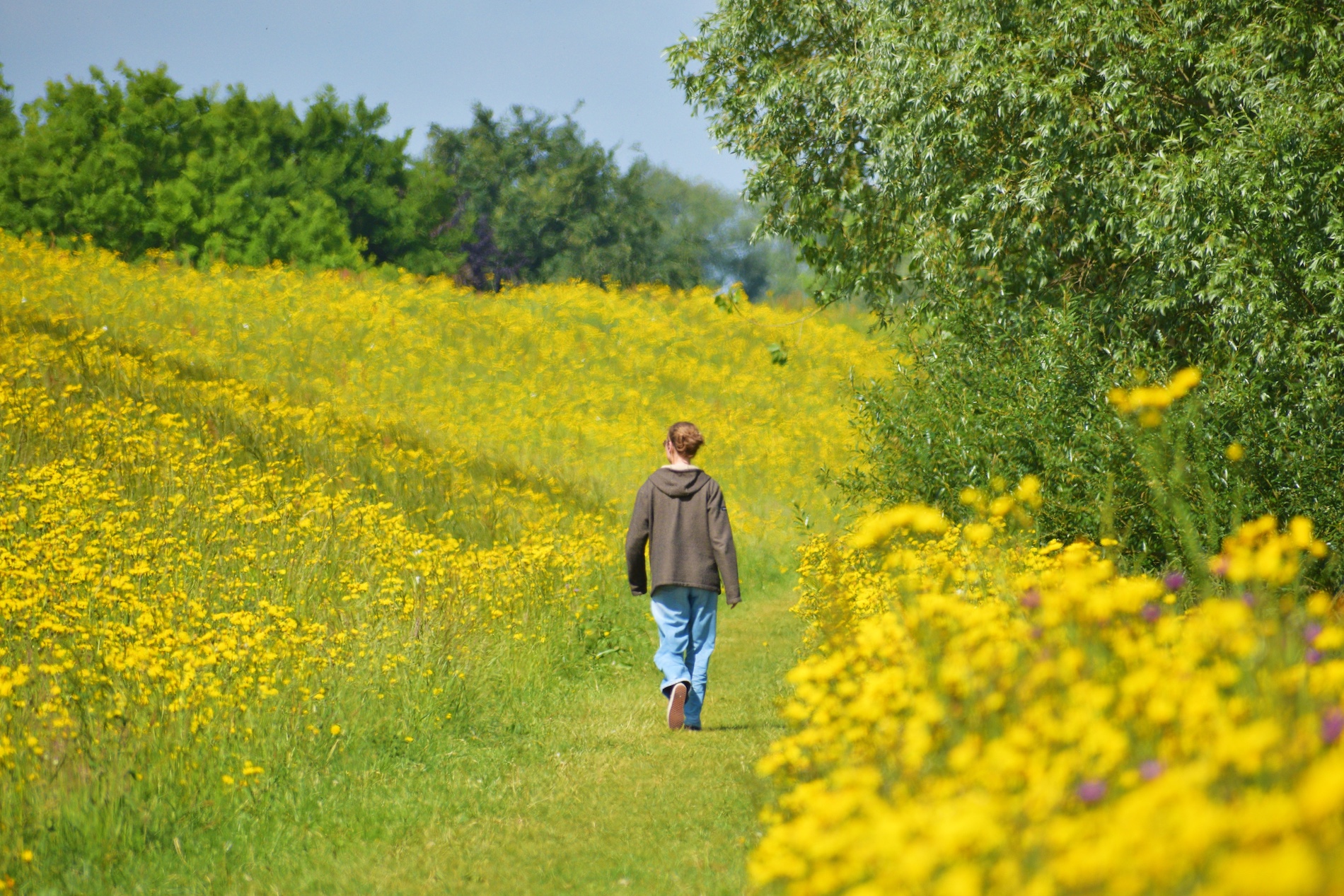 Goed wandelweer in mei. Foto: Cynthia Leusden