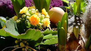 Dit wordt het weer tijdens het paasweekend