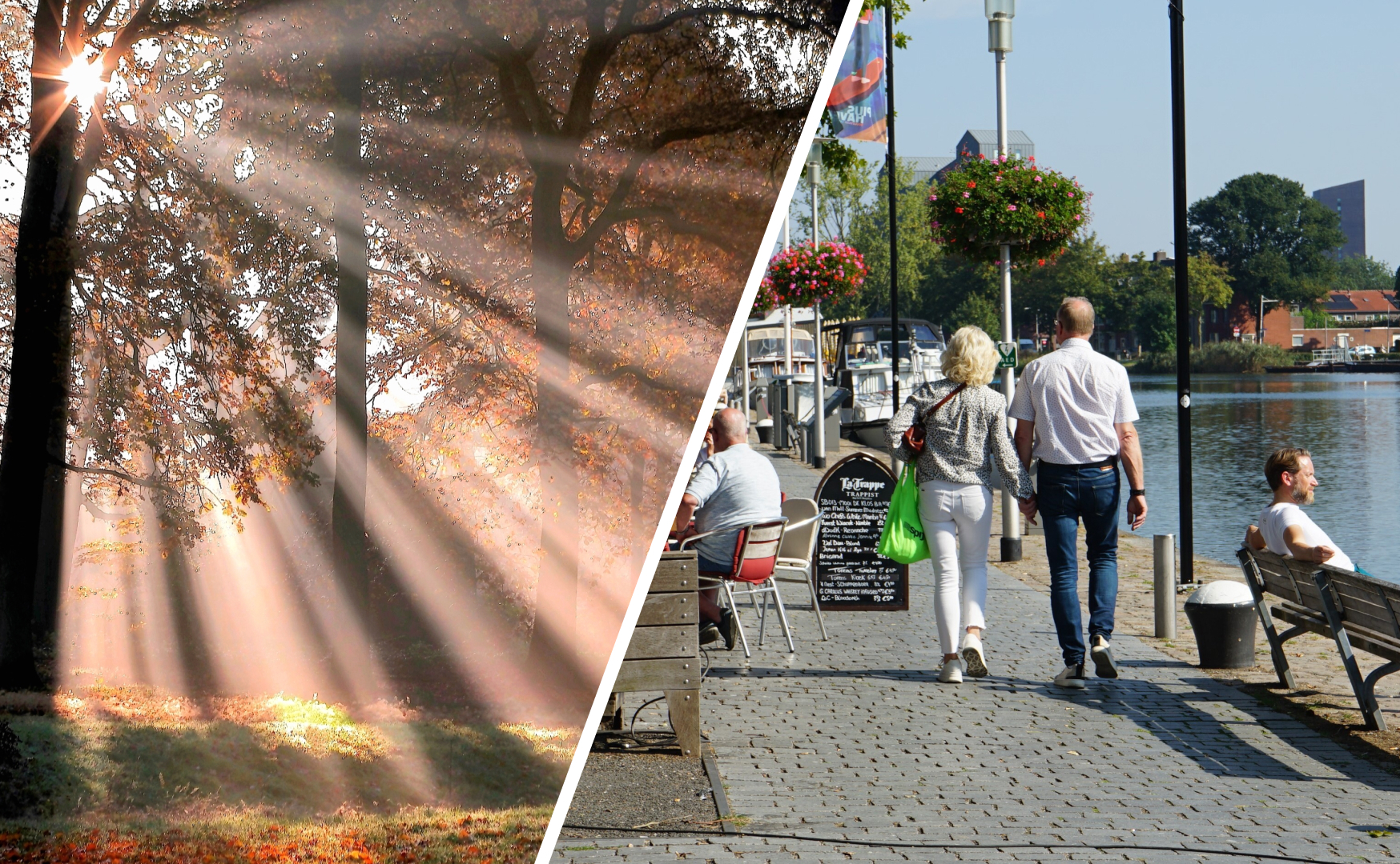 Herfstverwachting: dit is wat je kunt verwachten