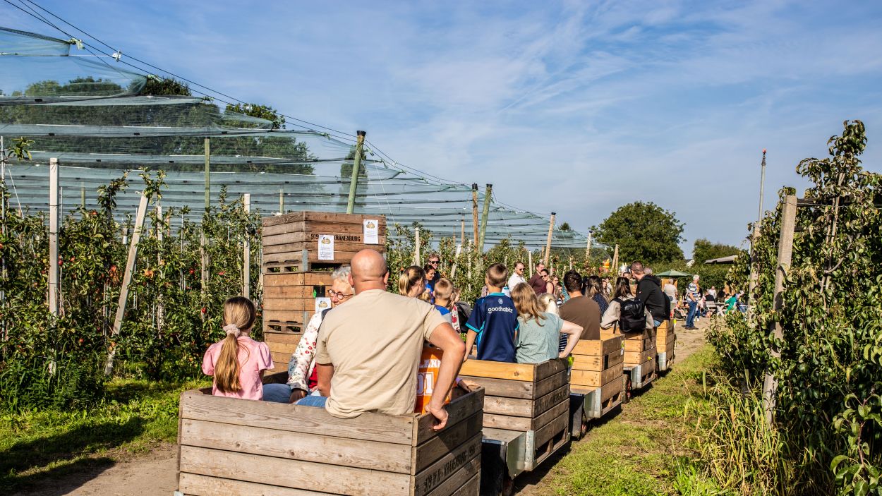 Weekendweer: wanneer schijnt de zon?