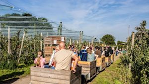 Weekendweer: wanneer schijnt de zon?