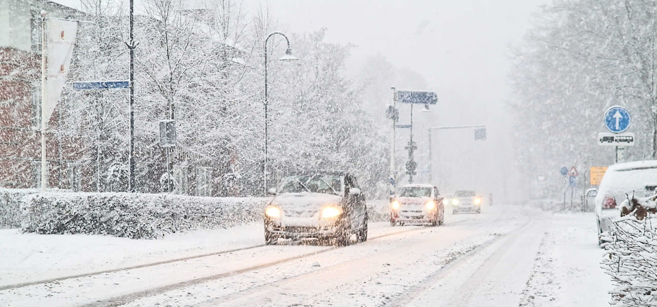 Sneeuw op 15 januari 2024. Foto: Wouter van Bernebeek.