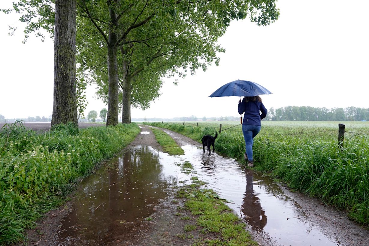 2024 was een kletsnat jaar. Foto: Ben Saanen