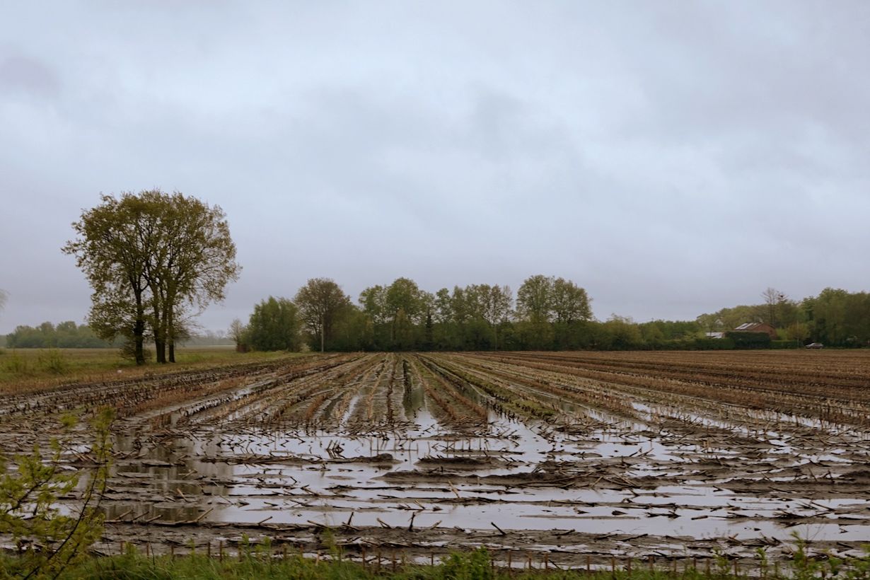 Het was een natte en sombere maand. Foto: Ben Saanen
