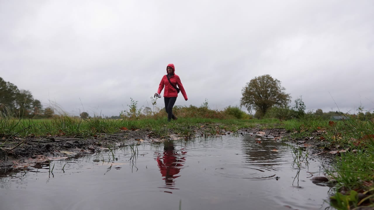 Oktober was een kletsnatte en sombere maand. Foto: Ben Saanen