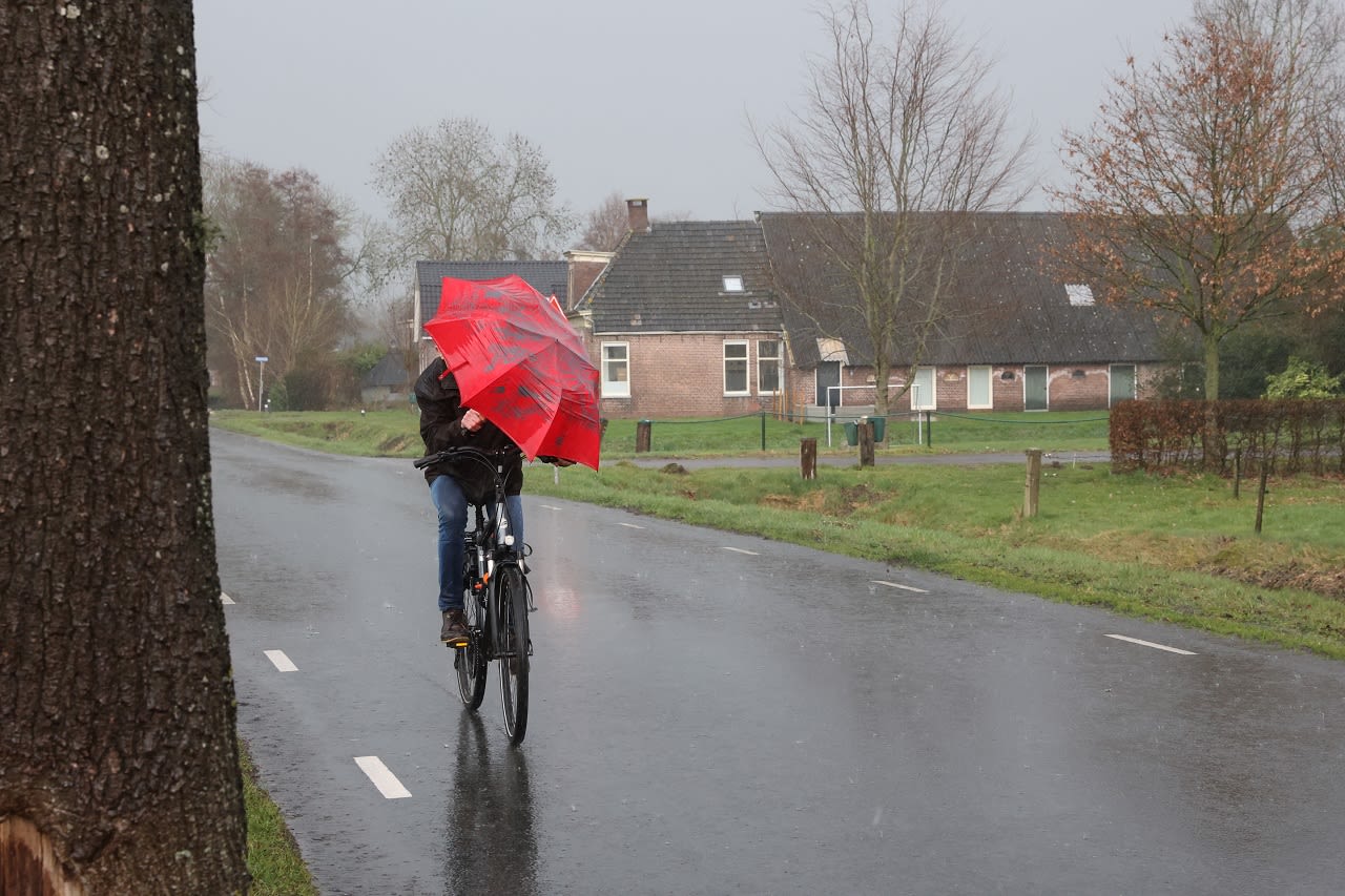 De paraplu is deze week vaak nodig. Foto: Dhr. van der Vlist