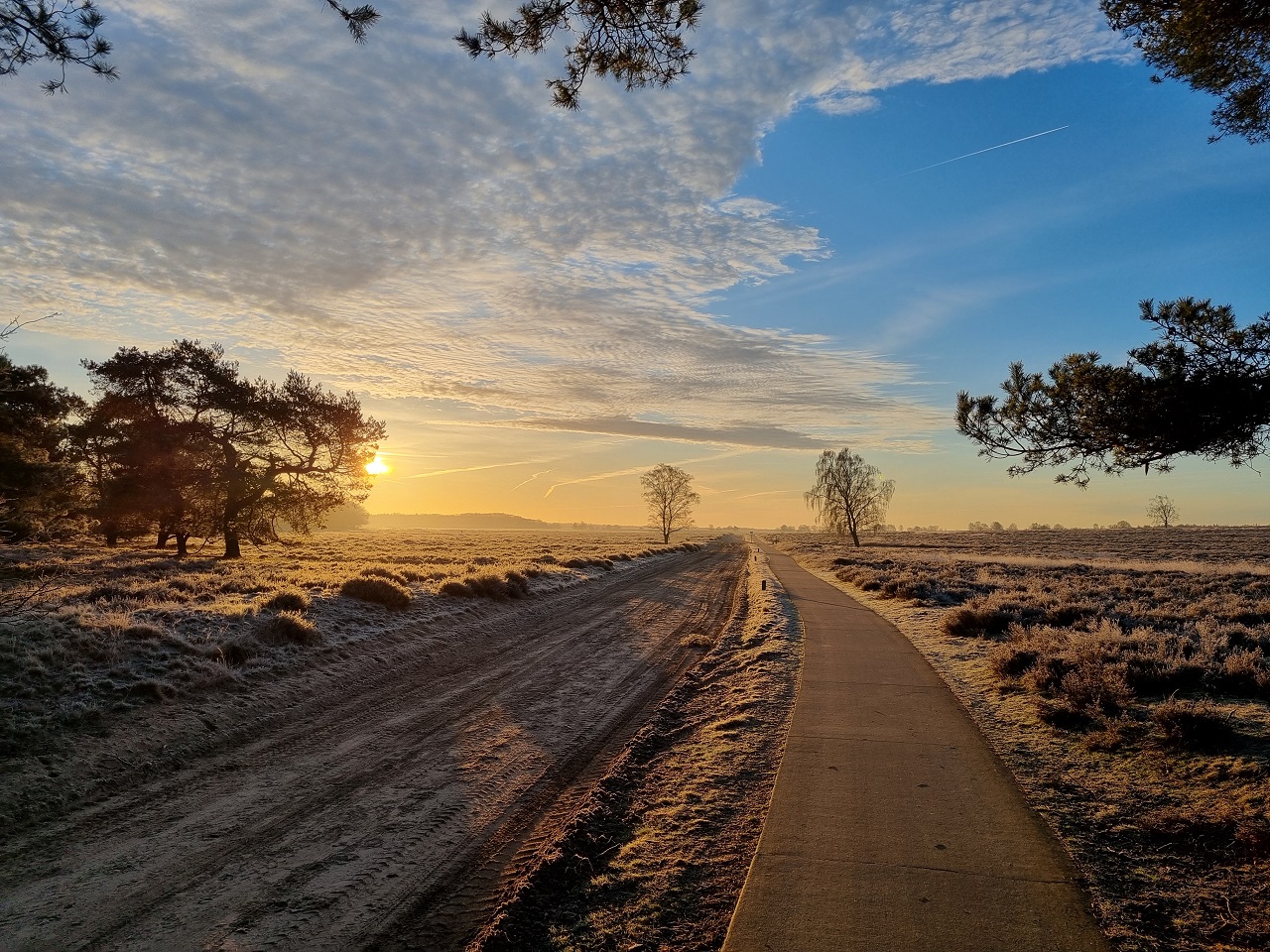 Fraaie zonsopkomst tijdens de slotdagen van januari. Foto: Willem Bruggink